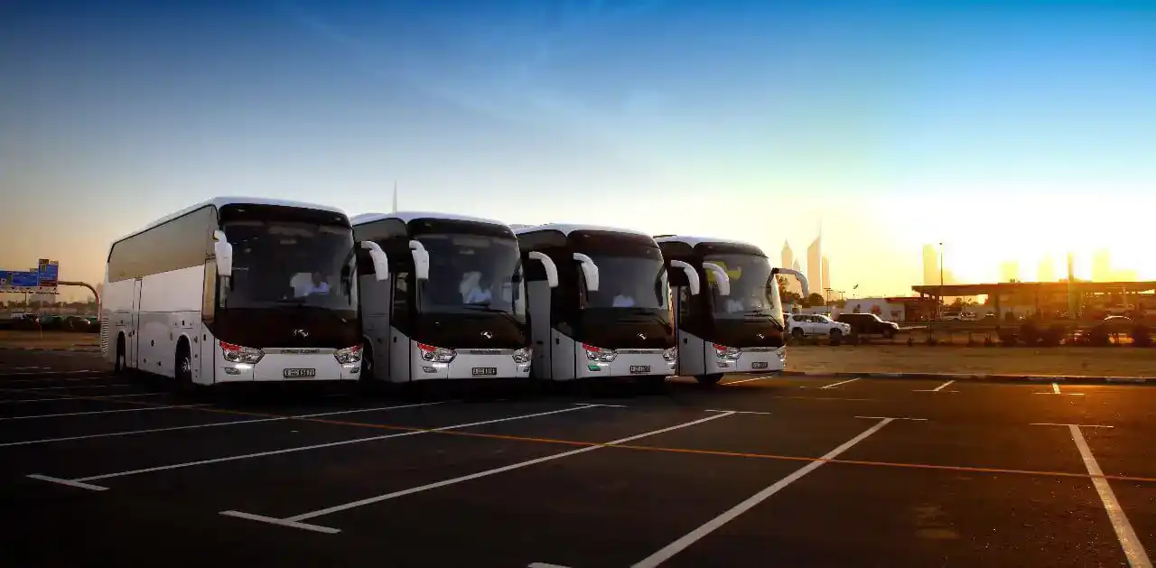 Luxury Bus 50 Seater 3